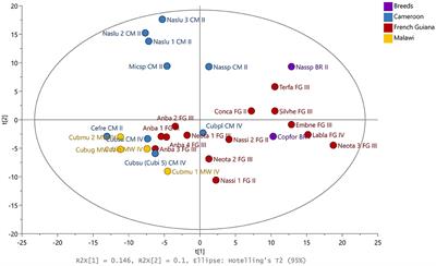 The tropical cookbook: Termite diet and phylogenetics—Over geographical origin—Drive the microbiome and functional genetic structure of nests